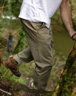 365 Organic Cotton Pant - Dusty Olive