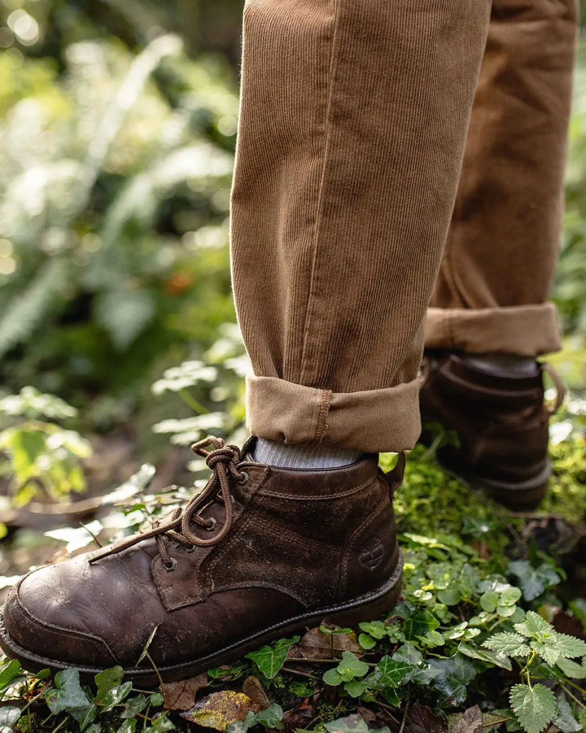 Adventurer Cord Pant - Coconut