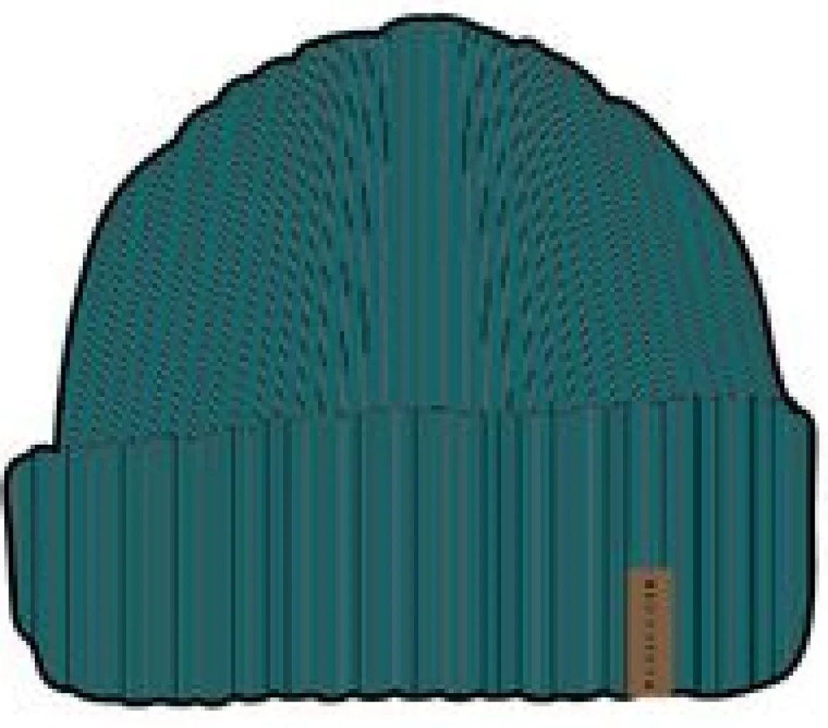 Compass Recycled Beanie - Shaded Spruce