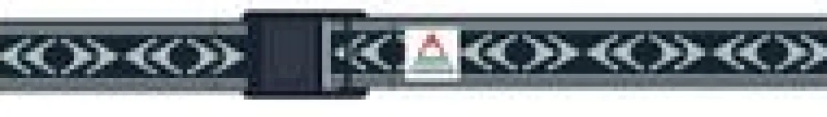 Dock Belt - Stepping Stone - Surf Spray/Charcoal