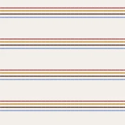 Retro Vibes Organic Cotton T-Shirt - Retro Stripe