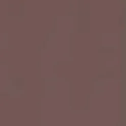 Sneaky Peak Recycled Cord 5 Panel Hat - Acorn