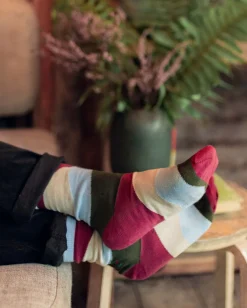 Vista Organic Socks - Rhubarb